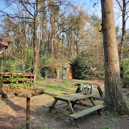 Biesseltsebaan 30 Chalet Chalet
