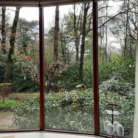 Biesseltsebaan 30 Chalet